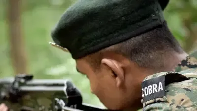 सारंडा के जंगल में कोबरा बटालियन के साथ नक्सलियों का भिड़ंत, 10 नक्सली ढेर