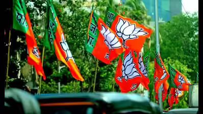 यूपी निकाय राजनीति: 2027 विधानसभा चुनाव से पहले बीजेपी का बड़ा दांव, 2802 पार्षद मनोनीत