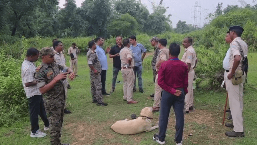 महिला के गले से सोने की चेन छिन कर अपराधी फरार