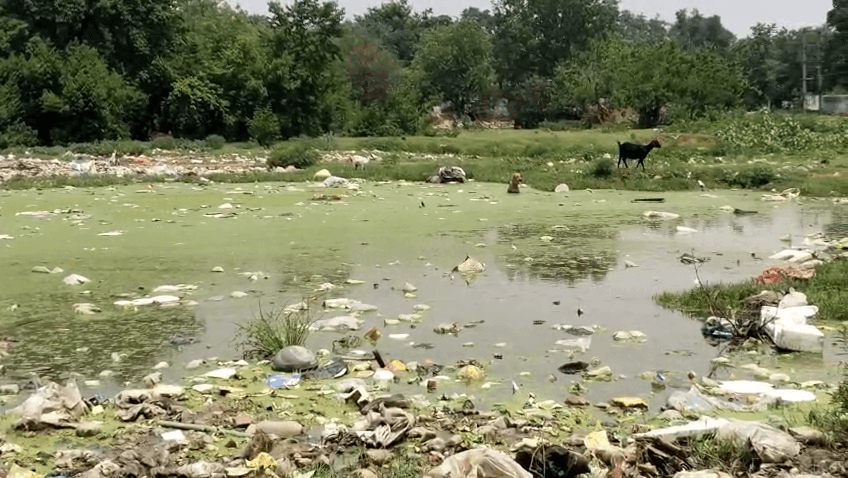 चास के रीतुडीह पंचायत की बदहाली: कचरे से जूझ रहे लोग